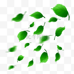 绿色树叶漂浮