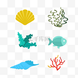 贝壳海螺图片_海洋贝壳水草