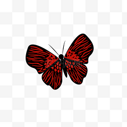 一只黑红色蝴蝶插图