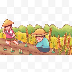 种植稻谷图片_二十四节气芒种种植耕种