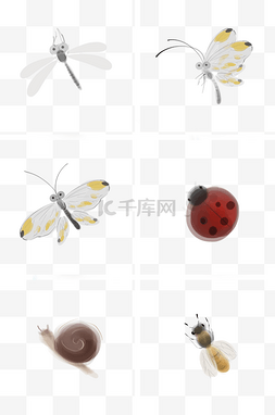 中国风水墨昆虫