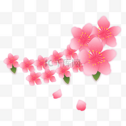 粉色花樱花图片_樱花春季花季粉色花花