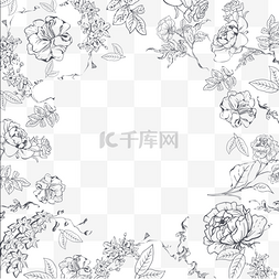 双11黑线框图片_植物叶子花卉线稿