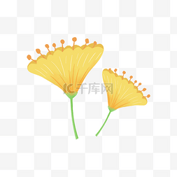 黄色的花朵装饰图片_黄色的花朵