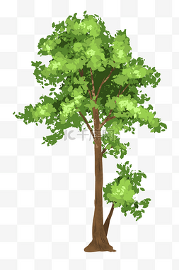 大树植物图片_大树树木卡通植物