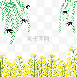 春季柳树燕子图片_春天燕子春季植物柳树油菜花