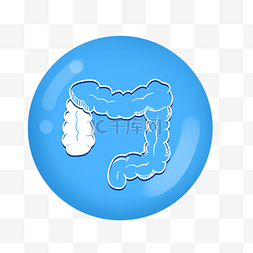 蓝色器官图片_人体的器官内脏大肠