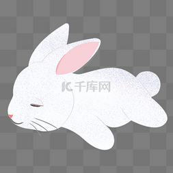 可爱白兔