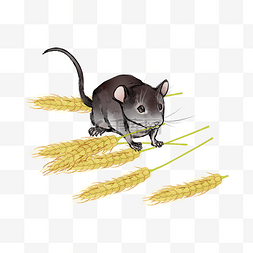 子鼠迎春图片_2020鼠年生肖水墨子鼠麦穗