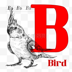 手绘线描动物鸟与红色字母b