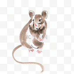 老鼠水墨画图片_2020鼠年笨拙的小老鼠