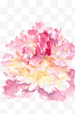 粉色盛开的植物图片_盛开的芍药花