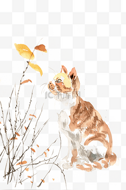 小猫与秋叶