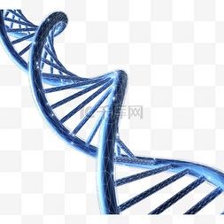 基因医学图片_3d立体dna元素