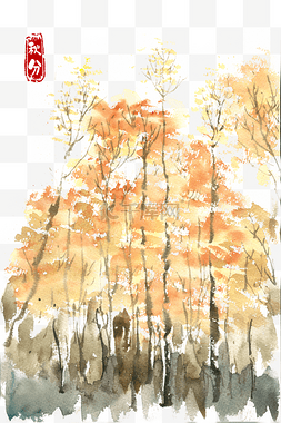 秋分深秋的树林