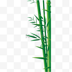 绿色的竹子植物