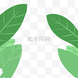 绿色清新花草图片_翠绿的树叶免抠图