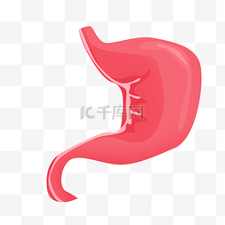 红色人体器官胃插画