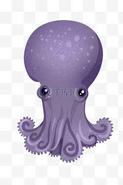 紫色章鱼图片_紫色章鱼插画