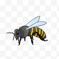 蜜蜂昆虫采蜜马蜂窝蜇人卡通