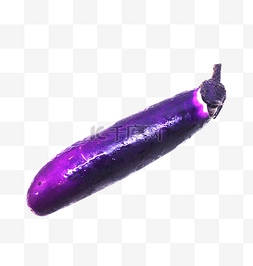 紫色茄子免扣
