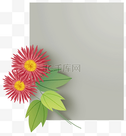 标题文本框红色图片_两只菊花和文本框