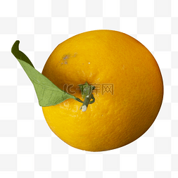西柚橙子图片_新鲜水果橙子