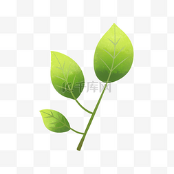 手绘植物叶片图片_绿色植物叶子透明底免抠