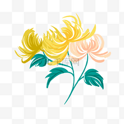 黄色的绽放菊花插画