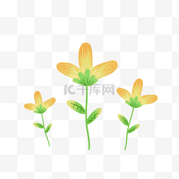 小暑卡通可爱海报图片_盛开的黄色的花朵