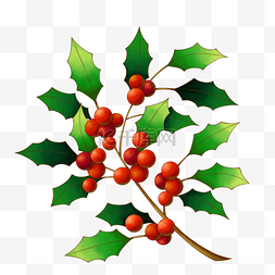 圣诞节植物装饰图片_圣诞节植物冬青茂密红绿色树枝