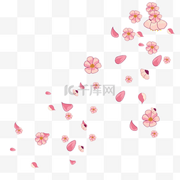 花卉植物粉色花瓣