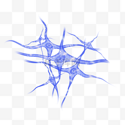 脑内的神经图片_蓝色神经元经络
