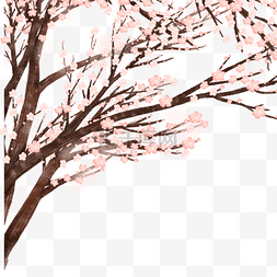 樱花树插图图片_卡通樱花树下载