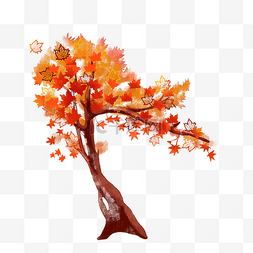手绘秋季枫树图片_枫树手绘