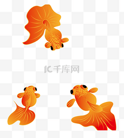 鱼虫金鱼池塘荷花金鱼卡通金鱼缸免抠png装饰红色的金鱼免抠图世界