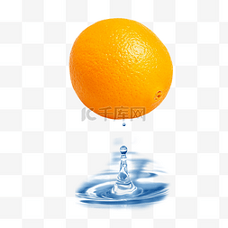 水果脐橙组合图