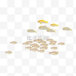 鱼群鱼类图片_鱼群海底