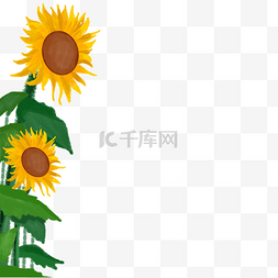生态的图片_卡通黄色的葵花