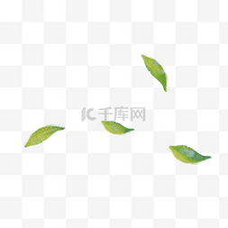 叶脉树叶图片_绿色创意植物树叶元素