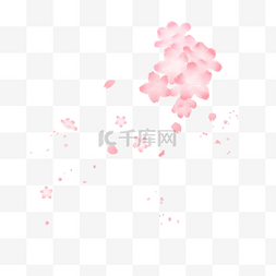 手绘粉色樱花画册