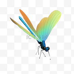 卡通昆虫蜻蜓图片_卡通昆虫蜻蜓