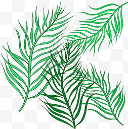 热带绿色植物手绘图片_夏季主题手绘风格树叶大叶植物芭