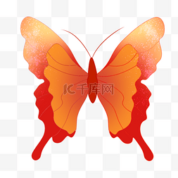 昆虫动物红色蝴蝶