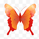 昆虫动物红色蝴蝶
