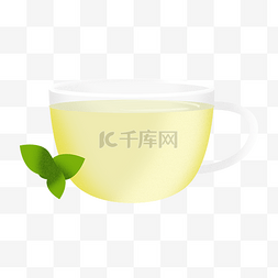 茶水和绿茶叶插画