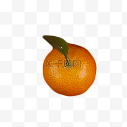 实物拍摄水果图片_新鲜的橘子好吃美味