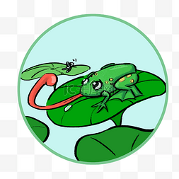绿色手绘青蛙图片_24节气立夏小青蛙
