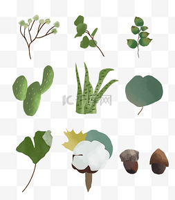 绿色系植物图片_日韩风植物花草贴纸