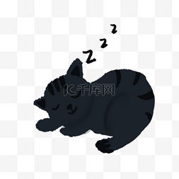 睡觉的猫图片_黑色的猫咪